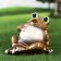 Garden figure "Frog rest" brown, 20cm