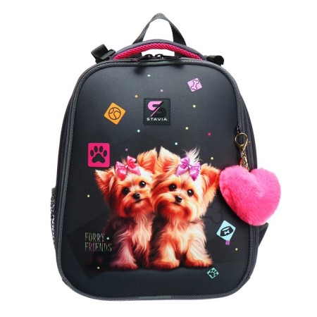 School backpack 38 x 30 x 16 cm, ergonomic back, stavia "york", gray-2