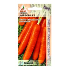 Carrots 