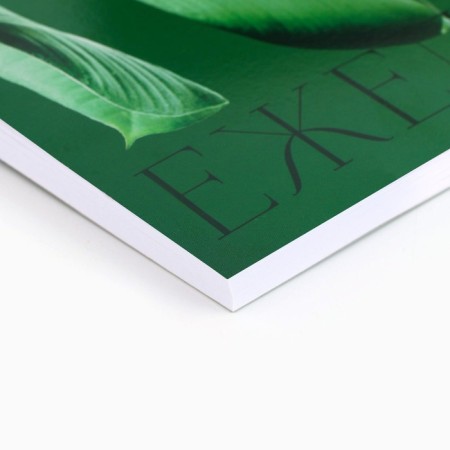 Diary in the thin cover A5, 72 sheets "Green Ficus"-1
