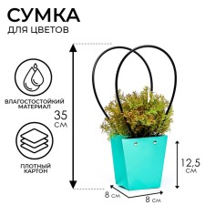 Bag for flowers mint moisture-resistant, 12x12-8x8-12.5 cm
