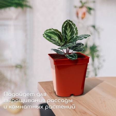 Pot for seedlings, 5 l, d = 18.5 cm, h = 20 cm, terracotta, Greengo-2