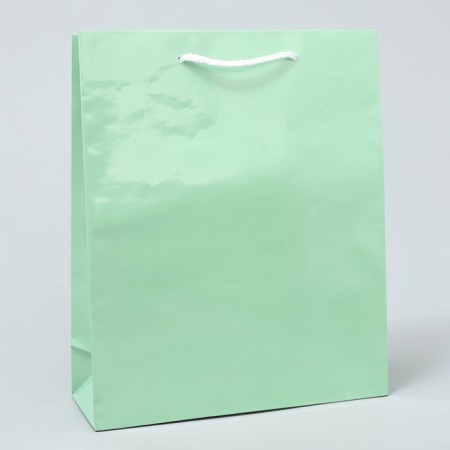 Gift package laminated, packaging, "green", ml 21 x 25 x 8 cm-3