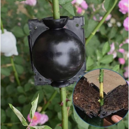 Ball for rooting plants, D = 8 cm, under a branch 1 cm, black, Greengo-7