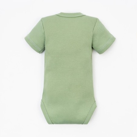 Body crumb I, Basic Line, height 62-68 cm, green color-6