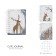 Note book A7, 80 sheets in a cage on the crest Forest Dream, plastic cover, with an elastic band, mix