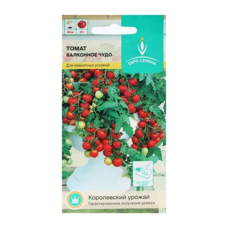 Semen Tomat "Balcony Miracle" ultra -carbonated, stunted, 15 pcs