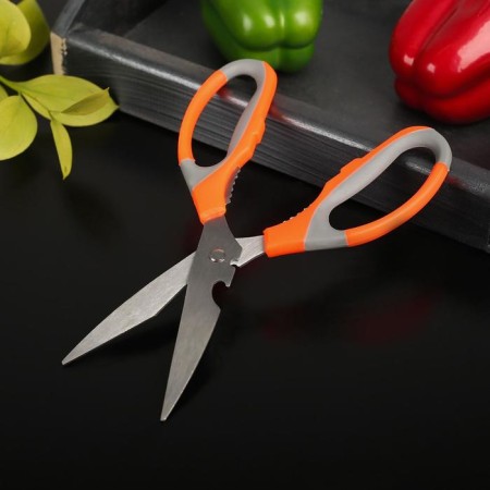 Scissors kitchen shares "Drive", 22 cm, with an opener for a bottle, color mix-1