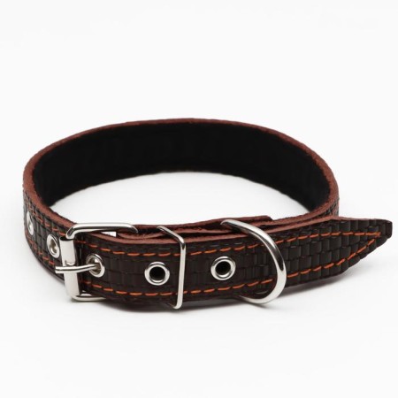 Leather collar with embossing on synthetic winterizer, 55 x 2.5 cm, Osh 35-45 cm, brown-1
