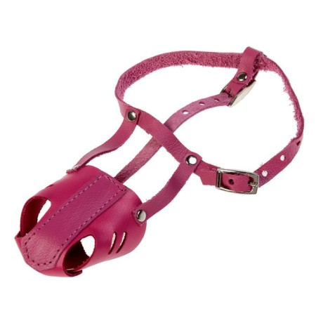The muzzle is an all -stone leather for small breeds of dogs (spitz), mix