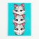 Cover for veterinary passport "Kittens", PVC