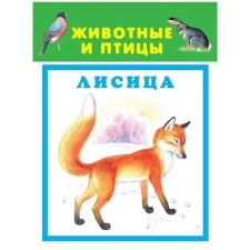 Animals and birds