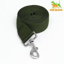Leash 3 m x 4 cm, green