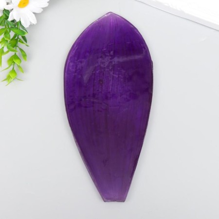MOLD Plastic "LIST ORCHIDE OF THE BIGHT" 20.5X9 cm-2