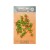 Dill