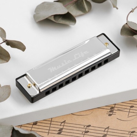 Music Life's Glublya, Diatonic, C-Major, with a case, silver-2