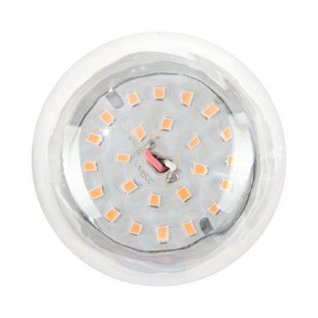 LED Luazon, A60, E27, 12 W, IP44, 220 V, 270 °.-3