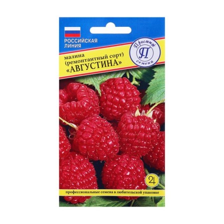 Raspberry raspberries "Augustine", 10 pcs-2