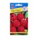 Raspberry raspberries "Augustine", 10 pcs