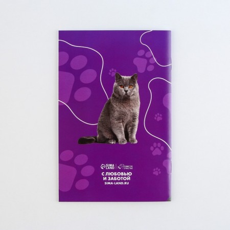 International universal veterinary passport for cats-7