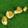 Garden figure "Snails" set 4pcs, 13x7.5cm