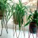 66-608-G stand 66-608-g per window sill 12x12x18 cm