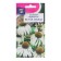 Flowers of Rudbeckia "White Swan", purple, 0.1 g