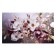 Kholst painting on the subframe "Bouquet of white flowers" 60x100 cm