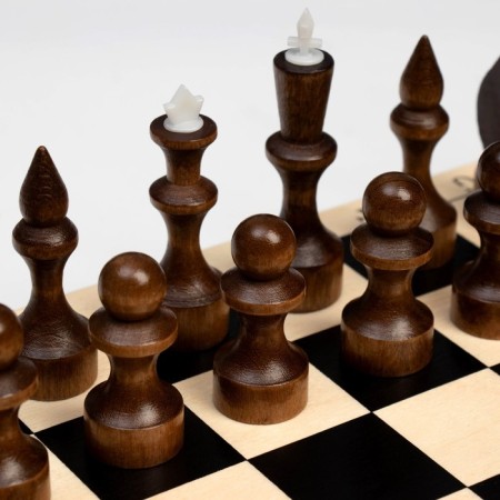 Wooden chess 29 x 29 cm, King H-7.2 cm, Pig H-4.5 cm-2