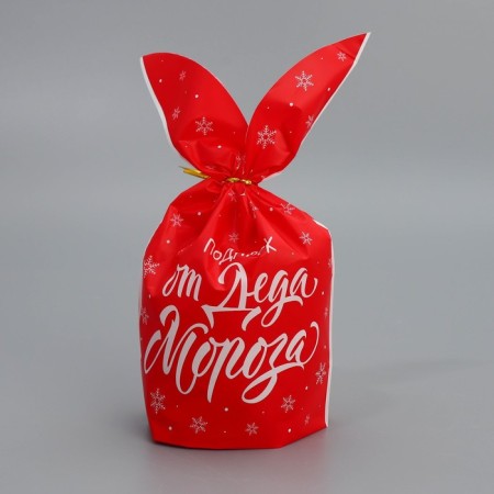 Gift bag with ears "Gift from Santa Claus", 12 x 11.5 cm, New Year-1