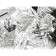 My heroic academy. Book 14. One`s Justice. Euphoria from destruction. Horikosi Kohei
