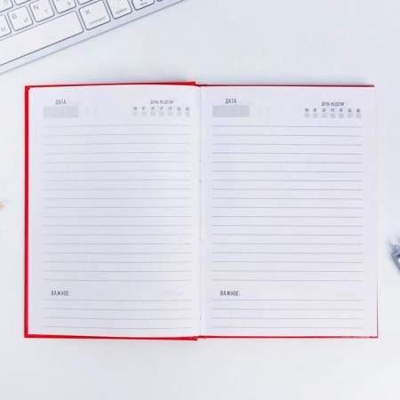 Diary "Succinite" A5, 80 sheets-2