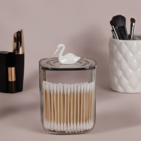 Organizer for storage "Pelican", with a lid, 9 × 9 × 13.5 cm, the color is transparent-3