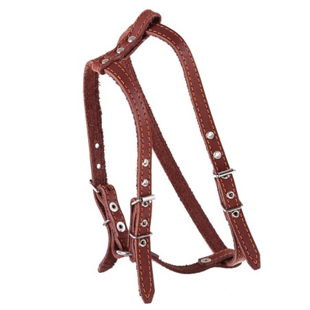 Leather slide "Walking", 1.5 cm, Osh35-50 cm, og 60-68 cm, black