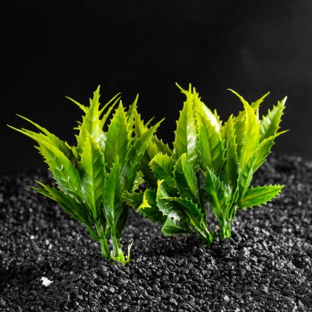 Set of artificial plants for aquarium (2 pcs), 11.5 cm-1