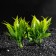 Set of artificial plants for aquarium (2 pcs), 11.5 cm