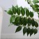 Artificial tree "acacia" in a pot, 86 cm