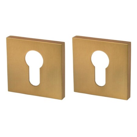 Cylinder et Uss FSG-39 lining, Florentine gold color