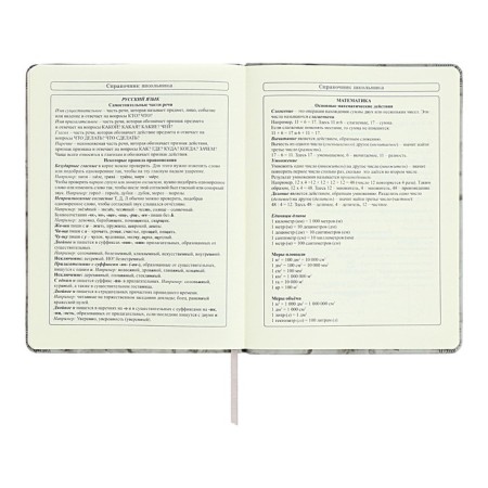 Diary 1-11 grade "Gray marble", artificial leather, a solid cover with embossing, with liesa, 48 sheets-9