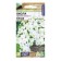 Viola flowers "Summer Wave", White, F1, DV, 5 pcs.