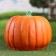 Garden figure "Little pumpkin" 19x24cm