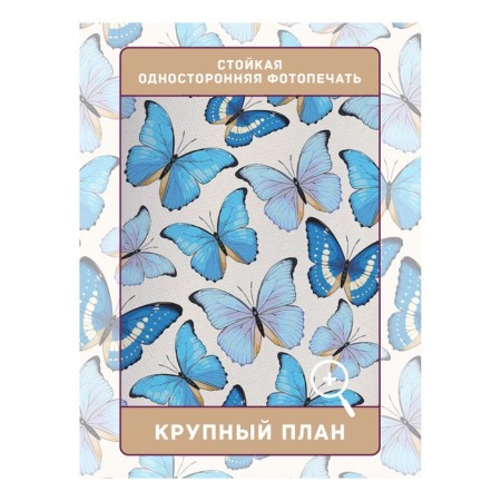 Photostes "Blue butterflies", Saten, size 145x265 cm, 2 pcs-2