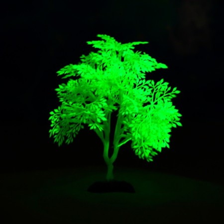 The plant is artificial aquarium, luminous, 15 cm, green-4
