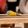 The fork is direct moisture -proof, C/s, 16A. IP44, yellow rubber rubber