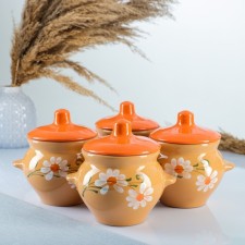 Set of pots No. 5 with handles 4x0.5l, mix