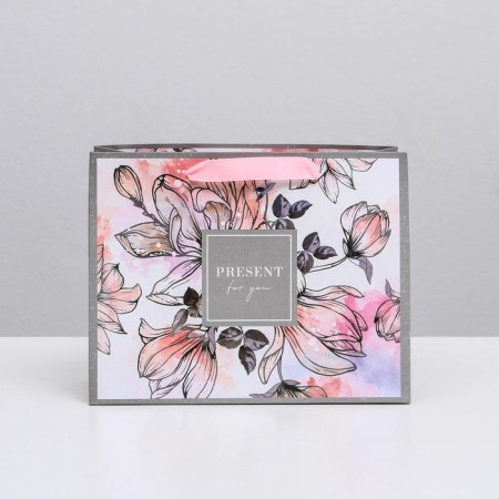 Gift Laminated Horizontal Package, Packaging, Present for You, MS 23 x 18 x 10 cm-1