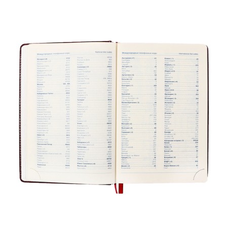 Dated diary of 2025, A5, 168 sheets in the ruler, leatherette "Nebraska", gold cut, burgundy-7