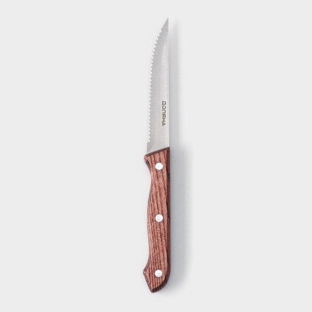 Knife for meat and steaks of the ecology shade, blade 11 cm, brown color-2