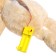 Musical toy "fall asleep", sound, light, beige color