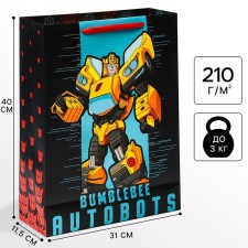 Gift package 